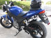 2008 Shineray XY250-5 photo
